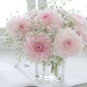 ヒメ日記 2025/04/10 16:20 投稿 アコ 人妻生レンタル