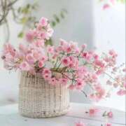 ヒメ日記 2025/04/10 16:40 投稿 アコ 人妻生レンタル