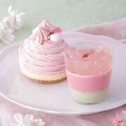 ヒメ日記 2025/04/12 12:50 投稿 アコ 人妻生レンタル