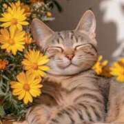 ヒメ日記 2025/05/06 15:00 投稿 アコ 人妻生レンタル