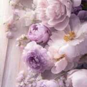 ヒメ日記 2025/05/10 12:50 投稿 アコ 人妻生レンタル