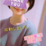 ヒメ日記 2025/03/27 09:40 投稿 マアサ 人妻生レンタル