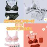 ヒメ日記 2025/10/16 10:50 投稿 マアサ 人妻生レンタル