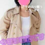 ヒメ日記 2026/04/01 08:00 投稿 マアサ 人妻生レンタル