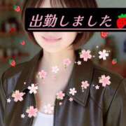 ヒメ日記 2026/04/03 09:55 投稿 マアサ 人妻生レンタル