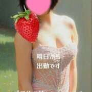 ヒメ日記 2026/04/07 11:31 投稿 マアサ 人妻生レンタル