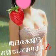 ヒメ日記 2026/05/13 07:12 投稿 マアサ 人妻生レンタル