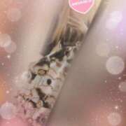 ヒメ日記 2025/07/10 10:57 投稿 クレハ 人妻生レンタル