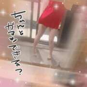 ヒメ日記 2026/08/23 18:50 投稿 クレハ 人妻生レンタルNTR
