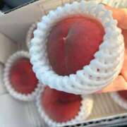 ヒメ日記 2025/07/25 16:35 投稿 サキ 人妻生レンタル