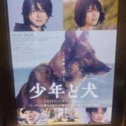 ヒメ日記 2025/03/21 15:20 投稿 ヒロコ 人妻生レンタル