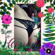 ヒメ日記 2025/11/24 12:05 投稿 ヒロコ 人妻生レンタル