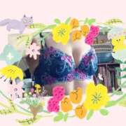 ヒメ日記 2025/11/24 16:48 投稿 ヒロコ 人妻生レンタル