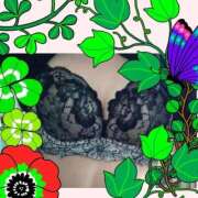 ヒメ日記 2026/02/07 00:40 投稿 ヒロコ 人妻生レンタル