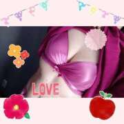 ヒメ日記 2026/03/07 12:50 投稿 ヒロコ 人妻生レンタル