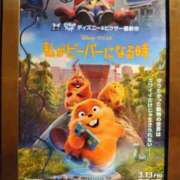 ヒメ日記 2026/03/20 09:40 投稿 ヒロコ 人妻生レンタル