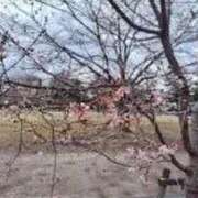 ヒメ日記 2026/04/03 08:50 投稿 ヒロコ 人妻生レンタル