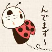 ヒメ日記 2025/03/20 17:20 投稿 ヨル 人妻生レンタル