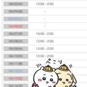 ヒメ日記 2025/04/02 21:10 投稿 ヨル 人妻生レンタル