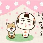 ヒメ日記 2025/04/08 10:20 投稿 ヨル 人妻生レンタル