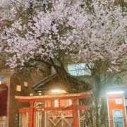 ヒメ日記 2025/04/09 12:55 投稿 ヨル 人妻生レンタル