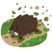 ヒメ日記 2025/07/17 16:26 投稿 ヨル 人妻生レンタル