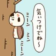 ヒメ日記 2025/08/21 08:10 投稿 ヨル 人妻生レンタル