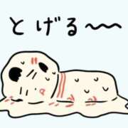 ヒメ日記 2025/09/02 09:23 投稿 ヨル 人妻生レンタル