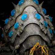 ヒメ日記 2025/09/15 17:40 投稿 ヨル 人妻生レンタル