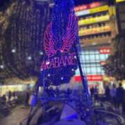 ヨル 師走 人妻生レンタル