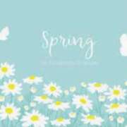 ヒメ日記 2025/04/04 14:40 投稿 リツコ 人妻生レンタル