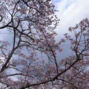 ヒメ日記 2025/04/15 20:40 投稿 リツコ 人妻生レンタル