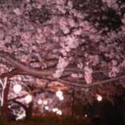 ヒメ日記 2025/04/17 21:20 投稿 リツコ 人妻生レンタル