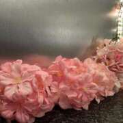 ヒメ日記 2025/04/19 21:50 投稿 ジュン 人妻生レンタル