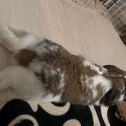 ヒメ日記 2025/07/28 19:13 投稿 ジュン 人妻生レンタル