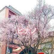 ヒメ日記 2025/03/29 12:20 投稿 ヒナノ 人妻生レンタル