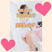 ヒメ日記 2026/04/08 16:20 投稿 ヒナノ 人妻生レンタル