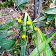 ヒメ日記 2025/03/10 10:10 投稿 レイコ 人妻生レンタル