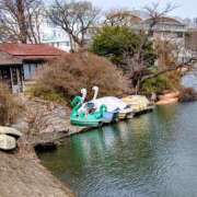 ヒメ日記 2025/03/25 11:34 投稿 レイコ 人妻生レンタル