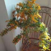 ヒメ日記 2025/03/28 12:10 投稿 レイコ 人妻生レンタル