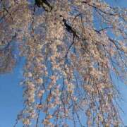 ヒメ日記 2025/05/31 21:25 投稿 レイコ 人妻生レンタル