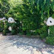 ヒメ日記 2025/06/23 20:30 投稿 レイコ 人妻生レンタル