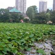 ヒメ日記 2025/06/25 18:20 投稿 レイコ 人妻生レンタル