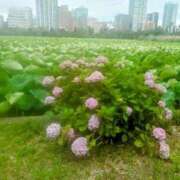 ヒメ日記 2025/06/25 19:20 投稿 レイコ 人妻生レンタル