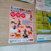 ヒメ日記 2025/06/27 13:20 投稿 レイコ 人妻生レンタル