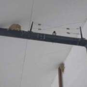 ヒメ日記 2025/07/06 15:20 投稿 レイコ 人妻生レンタル