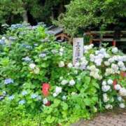 ヒメ日記 2025/07/18 23:20 投稿 レイコ 人妻生レンタル