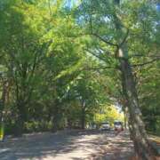 ヒメ日記 2025/07/26 18:27 投稿 レイコ 人妻生レンタル