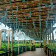 ヒメ日記 2025/07/26 20:20 投稿 レイコ 人妻生レンタル