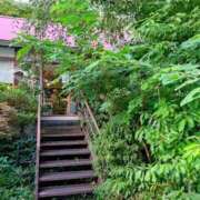 ヒメ日記 2025/07/30 14:13 投稿 レイコ 人妻生レンタル